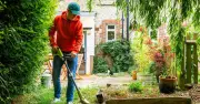 RSPCA Warns Gardeners: Football Goal Netting Deadly for Wildlife