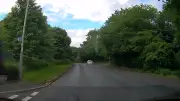 Seagull Snatches Squirrel, Crashes Into Family Car in Scotland