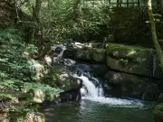 Shady Woodland Walk with Waterfalls in Greater Manchester