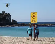 Shark Attack at Sydney's Coogee Beach: How Rare Is It and How to Stay Safe
