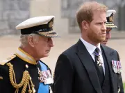 Should Harry and Meghan Meet Royal Family During UK Visit? Take Our Poll