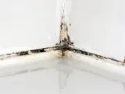 Shower Grout Mould Disappears in 1 Hour with 2 Non-Bleach Items