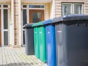 Simple Cardboard Trick Keeps Wheelie Bins Fly-Free This Spring