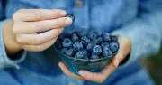 Simple Paper Towel Trick Keeps Blueberries Fresh for Weeks Without Mould
