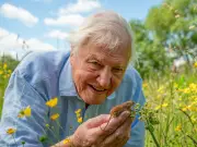 Sir David Attenborough's Crucial Summer Garden Task for Thriving Wildlife