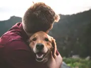 Six key signs of heat stroke in dogs as UK temperatures hit 34C