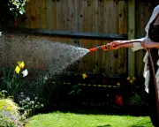 South East Water Imposes Hosepipe Ban Amid Heatwave Surge in Demand