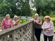 Stockport Woman Narrowly Escapes Death as Tree Crashes Into Garden