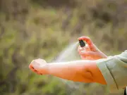 Stop Insect Bites With Natural Scent They Hate, Expert Reveals