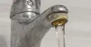 Stop Using Vinegar for Limescale: Lemon Juice Works Better, Say Experts