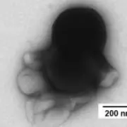 Swiss Researchers Develop Nanorobots That Kill Cancer Cells