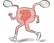 Syncing Workouts to Menstrual Cycle Lacks Evidence