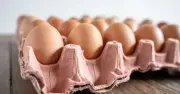 Tesco Completes Switch to Cage-Free Eggs Across All UK and Ireland Stores
