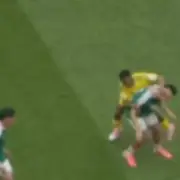 Three Red Cards in World Cup Opener: South Africa's Zwane Slaps Opponent