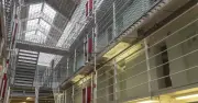 Three UK Prisoners Hospitalised from Spider Bites, One May Lose Leg