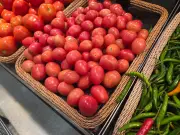 Tomato Prices Could Rise in Wales as Energy Costs Soar, Producer Warns