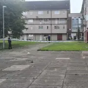 Two Arrested After Woman and Dog Injured in Paisley Disturbance