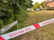 Two Hospitalised After Knife and Wood Plank Assault in Cardiff Suburb