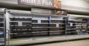 UK Chicken Shortage Warning as Heatwave Threatens Food Supply