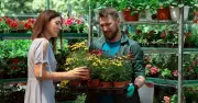 UK Garden Centre Giant Collapsed Owing £803m, 2,300 Jobs Lost