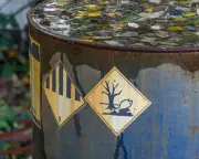 UK Government Sued Over Fast-Track Chemical Hazard Rules