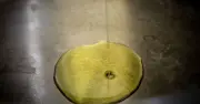 UK Households Warned: Stop Pouring Olive Oil Down Drains to Avoid Costly Blockages