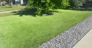 UK Households With Artificial Grass Warned During Heatwave This Week