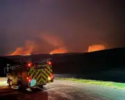 UK Must Protect Landscapes and Wildlife from Intensifying Heatwaves