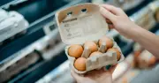 UK Shoppers Warned to Check Eggs for British Lion Mark or Face Salmonella Risk