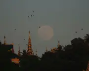 US Diplomat Found Dead in Myanmar; Thai Woman Detained