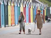 Vet Issues Urgent Heatwave Warning to UK Dog Owners as Temperatures Hit 40C