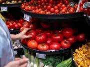 Warning to UK Shoppers: Tomato Prices May Rise Due to Energy Costs