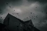 Why Some People Are More Prone to Paranormal Experiences, Expert Explains