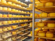 Widow Sues Cheese Company for £200k After Husband's Listeria Death