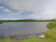 Woman, 55, Dies After Being Pulled from Pool at West Bromwich Park