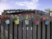 Woman Plans Nuclear Fence to Stop Nosy Neighbours Spying