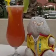 Woman's 40-Year Hunt for Stolen Care Bear in Spain