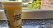 Yoghurt on Windows: Cheap Trick to Keep Homes Cool in Heatwave