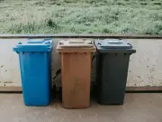 Your Legal Rights If Neighbour Leaves Bins Out Too Long