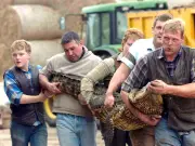 Zoo Reopens After Boy, 3, Thrown into Crocodile Enclosure