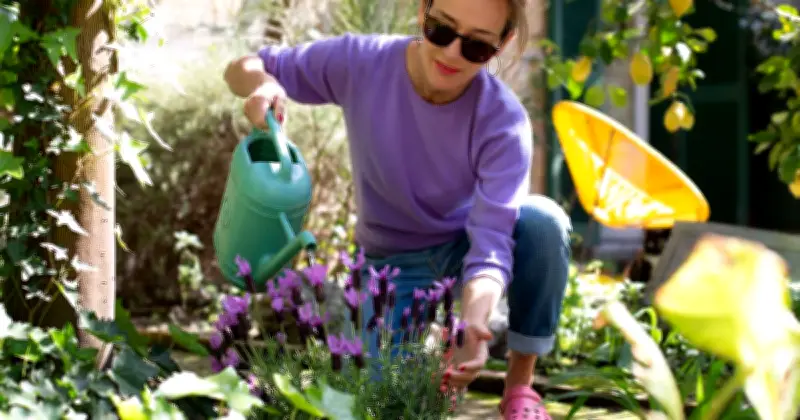 5 July Gardening Jobs: Expert Tips for Thriving Summer Gardens