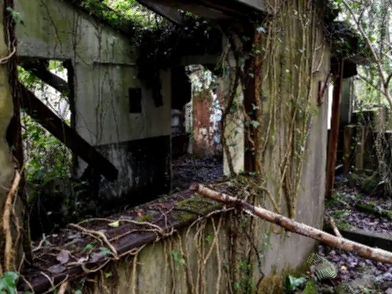 Abandoned Penscynor Wildlife Park Closed Forever After 27 Years