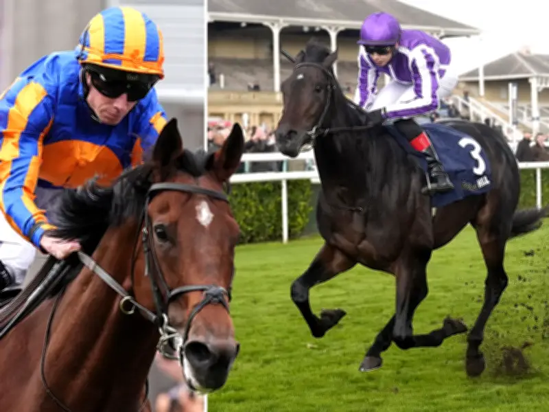 Aidan O'Brien to Run Both Constitution River and Hawk Mountain in Eclipse