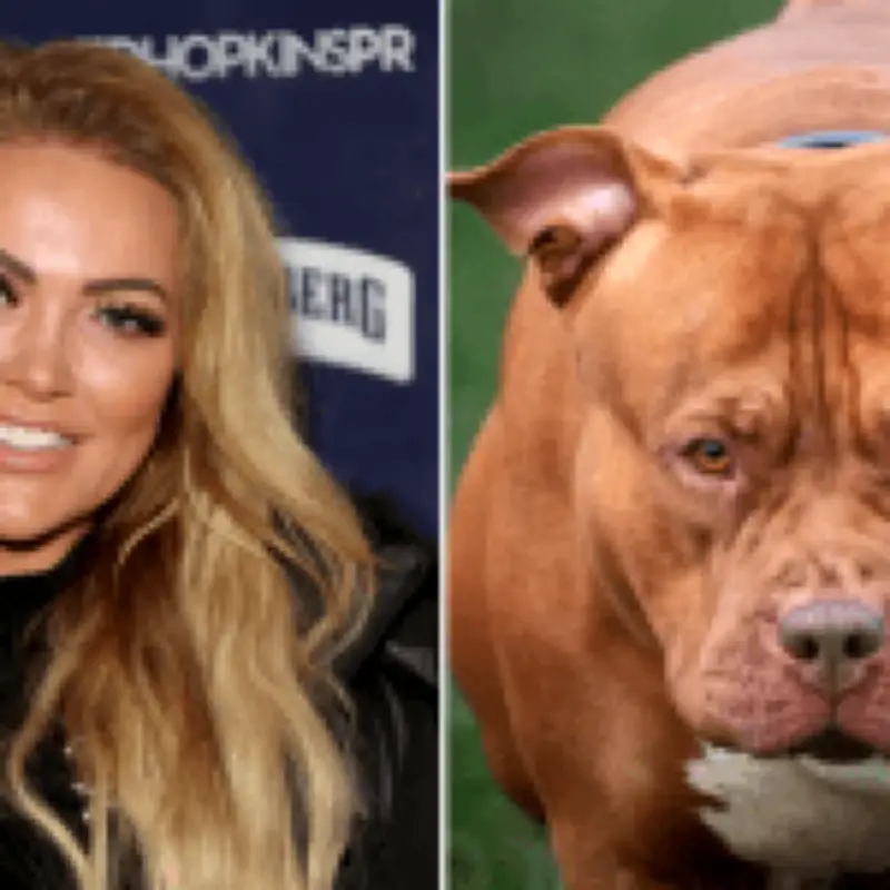 Aisleyne Horgan-Wallace: XL Bully attack left lifelong scars and online abuse