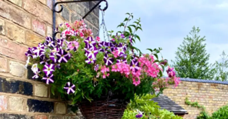 Alan Titchmarsh's Secret to Full Hanging Baskets All Summer Long