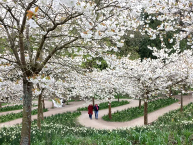 Alnwick Garden CEO Teases Next Chapter After 25 Years of Growth