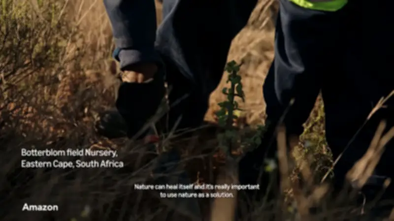 Amazon Funds 180M Shrub Planting in South Africa for Net-Zero