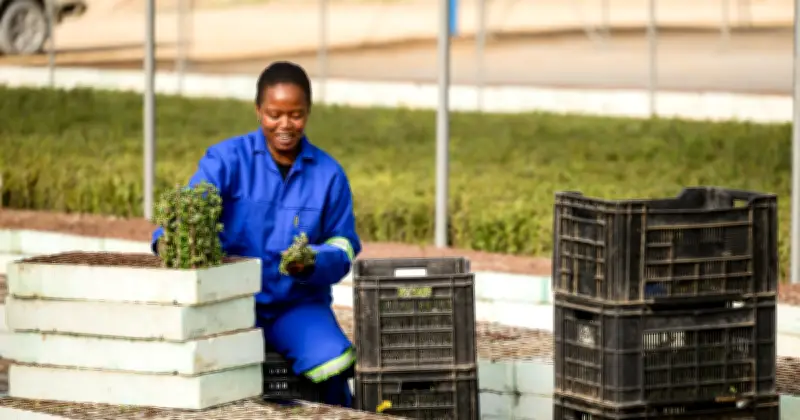 Amazon Invests in 180M Carbon-Absorbing Plants in South Africa for Net-Zero