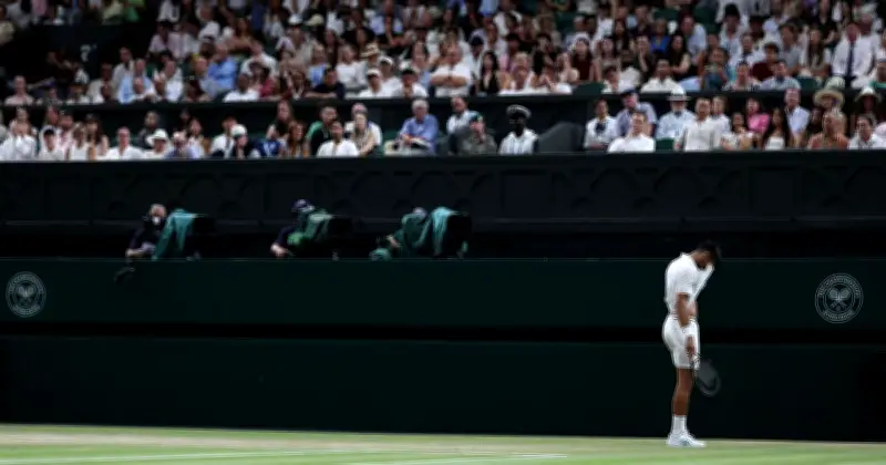 BBC Commentator Stunned by Fan's Photo During Djokovic Match