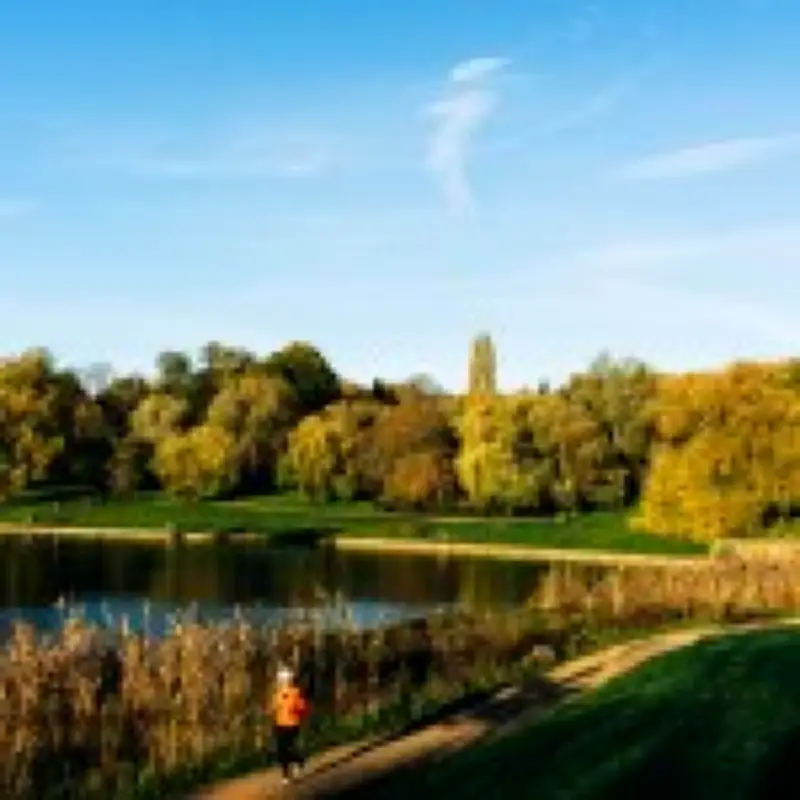 Best Mega Walks in London: Scenic Routes, Tips, and TfL Walks
